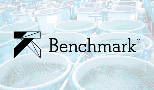 Helping Benchmark Holdings prepare for growth